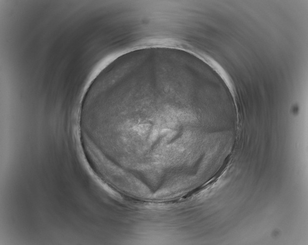 X0000116801389201001151113