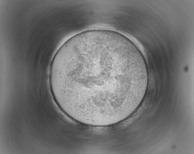 X0000116801390201001151113