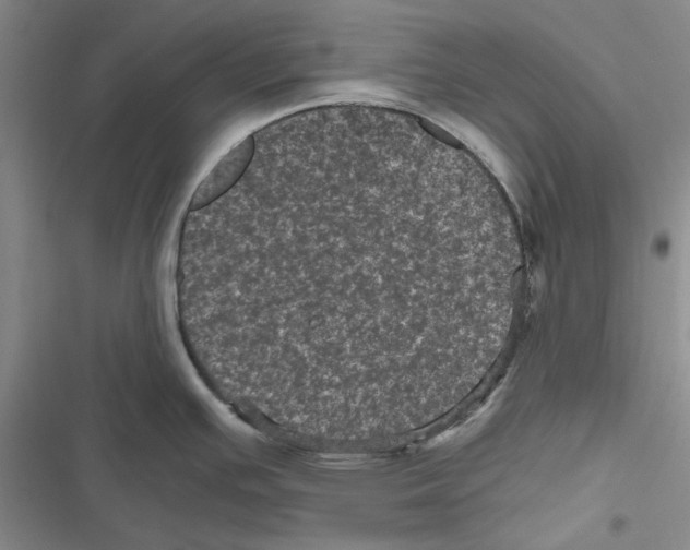 X0000116801391201001151113