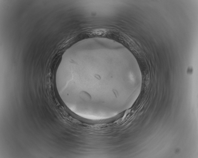 X0000116801394201001151113