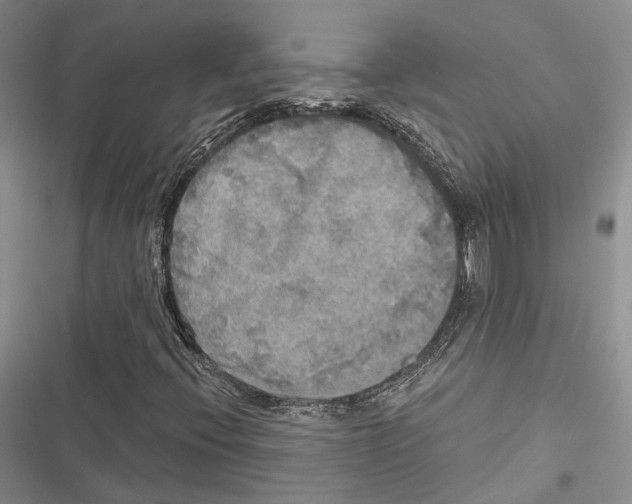 X0000116801396201001151113
