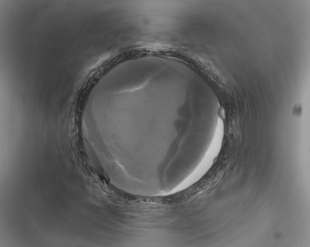 X0000116801398201001151113
