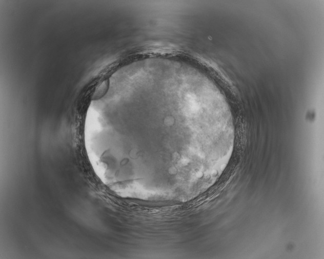 X0000116801399201001151113