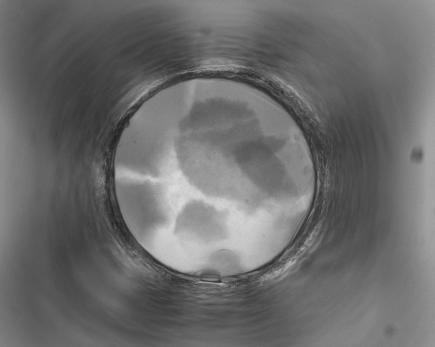 X0000116801401201001151113