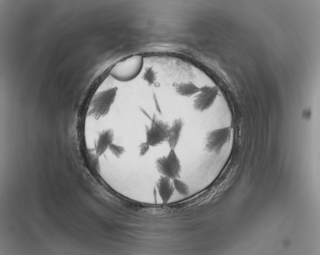 X0000116801404201001151113