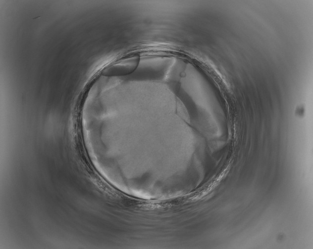 X0000116801405201001151113