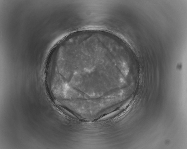 X0000116801406201001151113