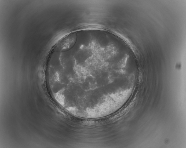X0000116801407201001151113