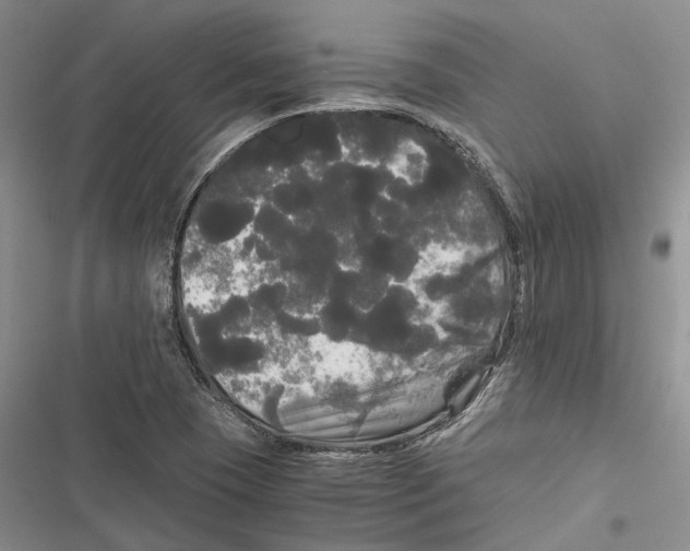 X0000116801409201001151113