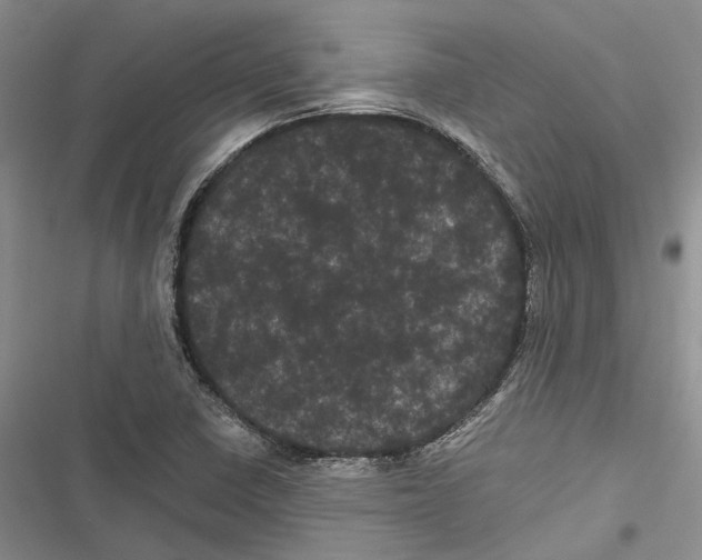X0000116801410201001151113