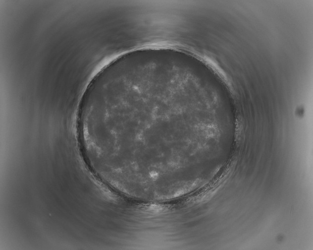 X0000116801412201001151113
