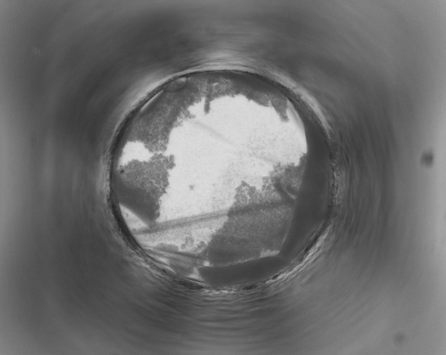 X0000116801415201001151113