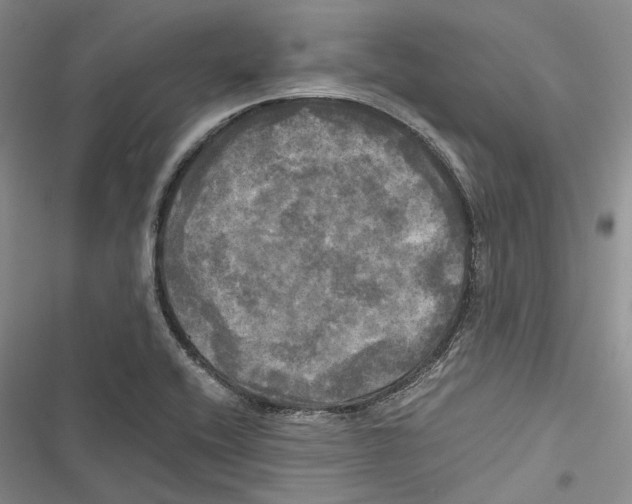 X0000116801416201001151113