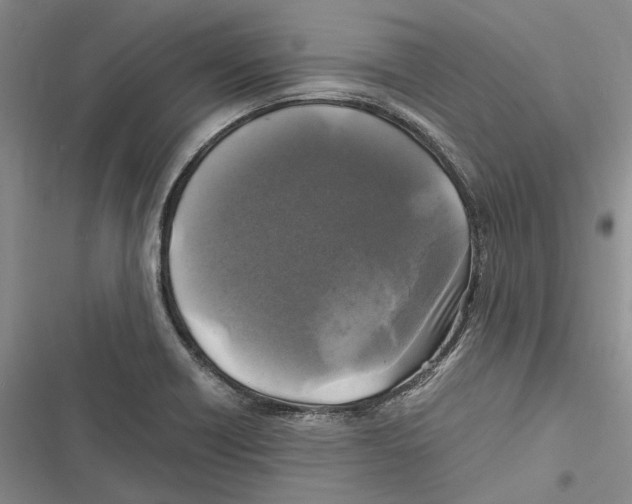 X0000116801418201001151113