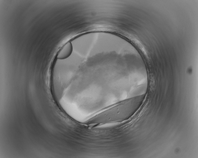 X0000116801419201001151113