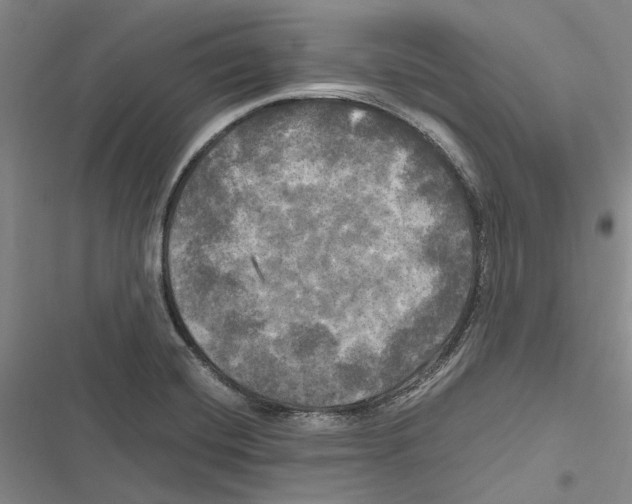 X0000116801420201001151113