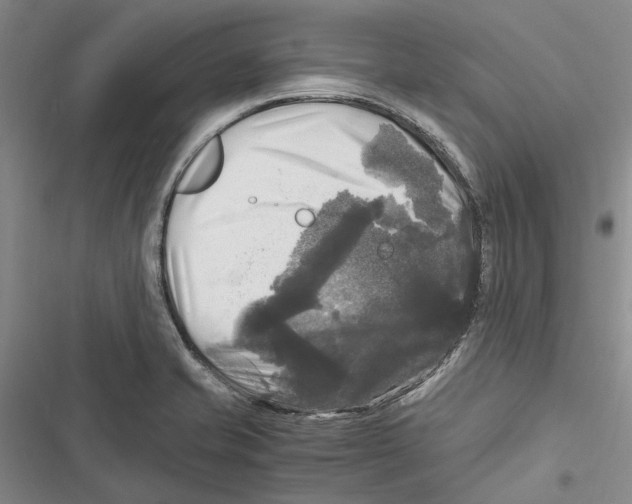 X0000116801421201001151113