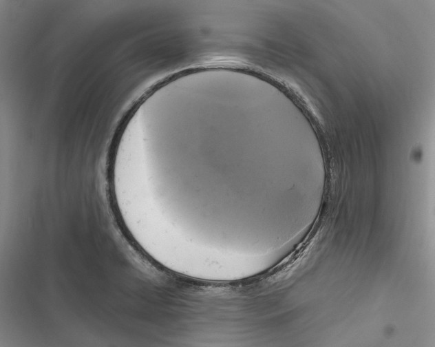 X0000116801422201001151113