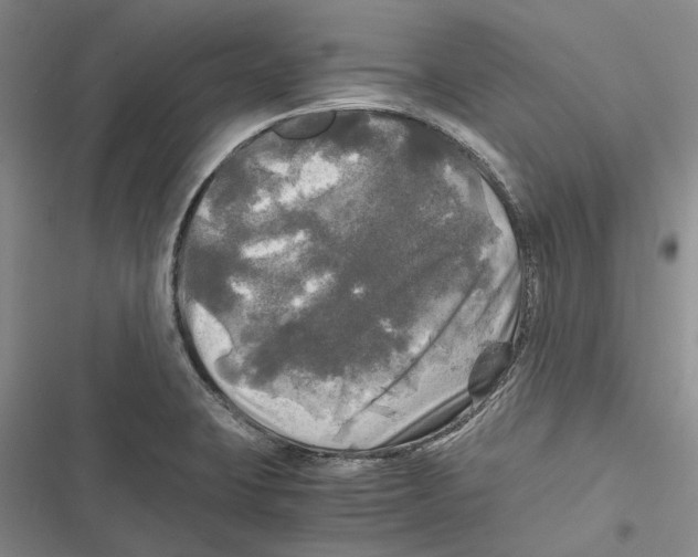 X0000116801423201001151113