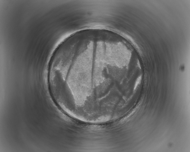 X0000116801424201001151113