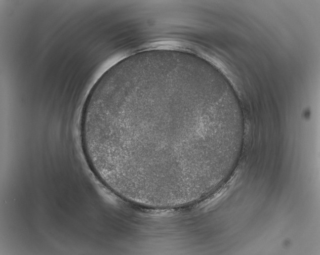 X0000116801426201001151113