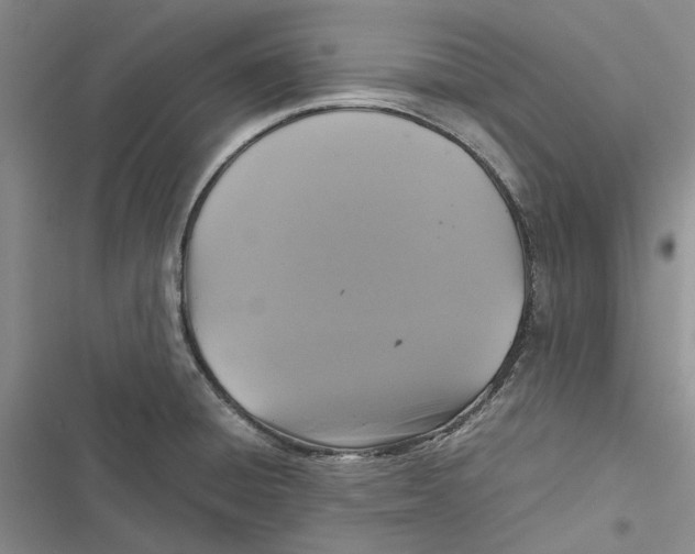 X0000116801428201001151113