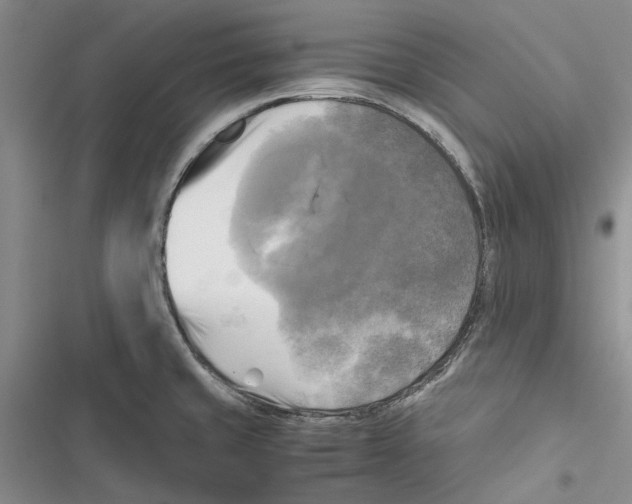 X0000116801429201001151113