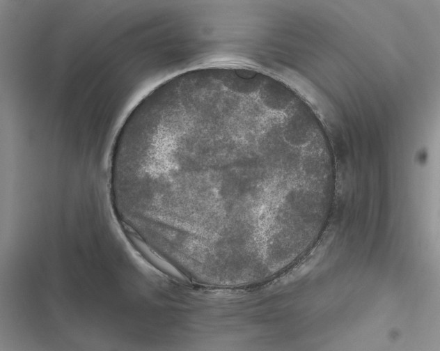 X0000116801430201001151113