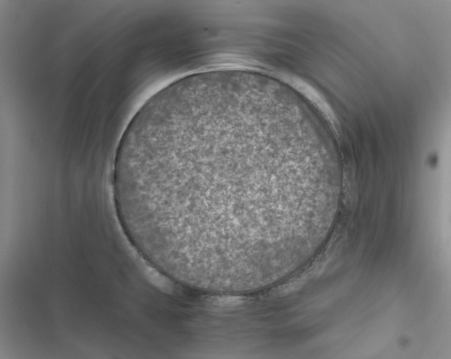X0000116801431201001151113