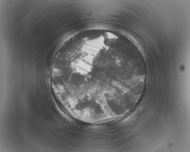 X0000116801433201001151113