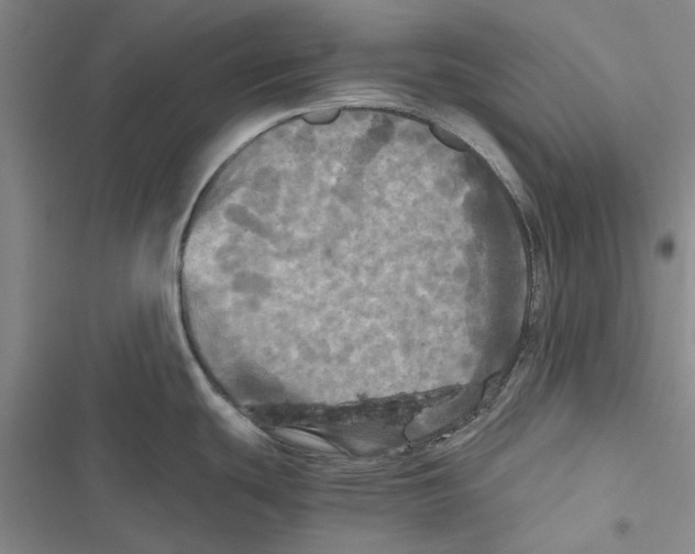 X0000116801439201001151113