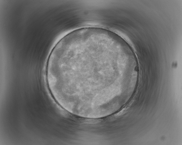 X0000116801440201001151113