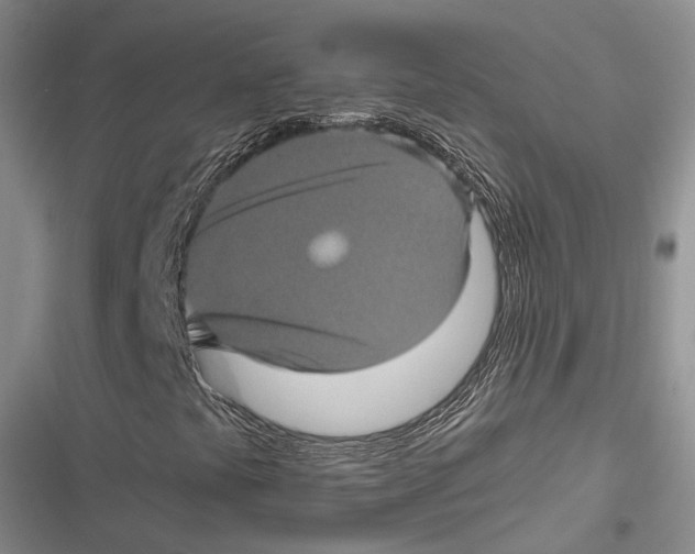 X0000116801441201001151113
