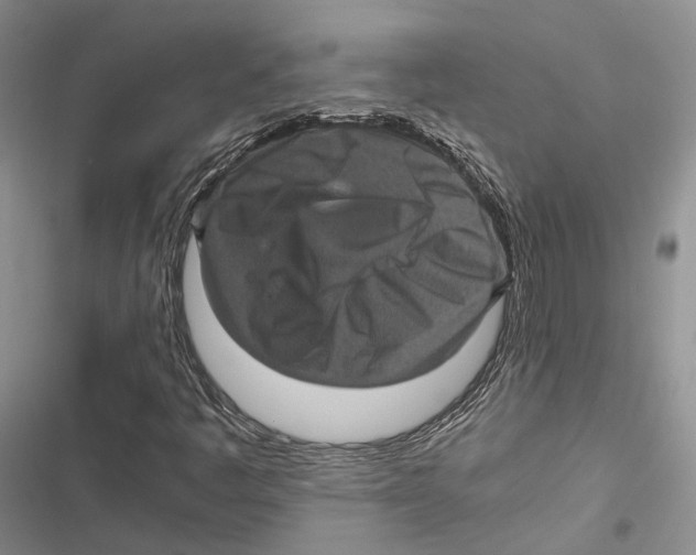 X0000116801445201001151112