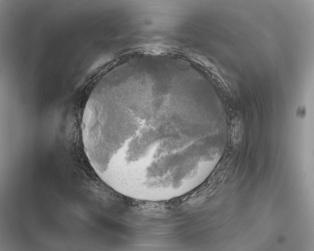 X0000116801446201001151112