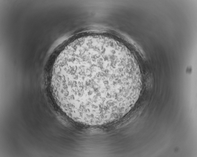 X0000116801448201001151112