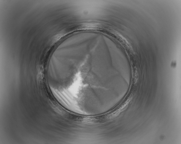 X0000116801449201001151112