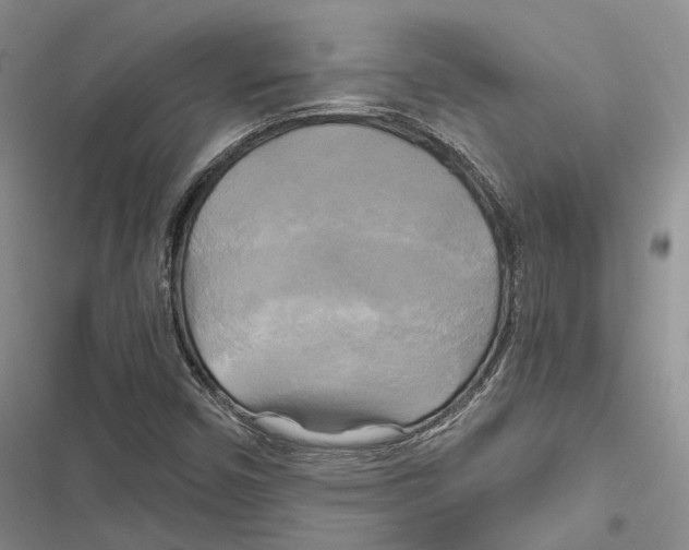 X0000116801450201001151112
