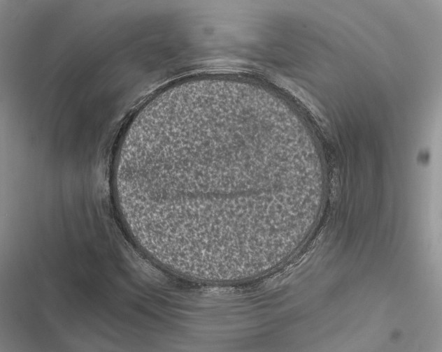 X0000116801451201001151112