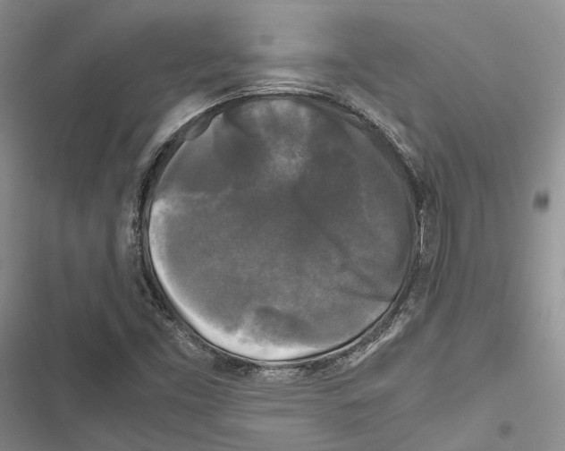X0000116801453201001151112