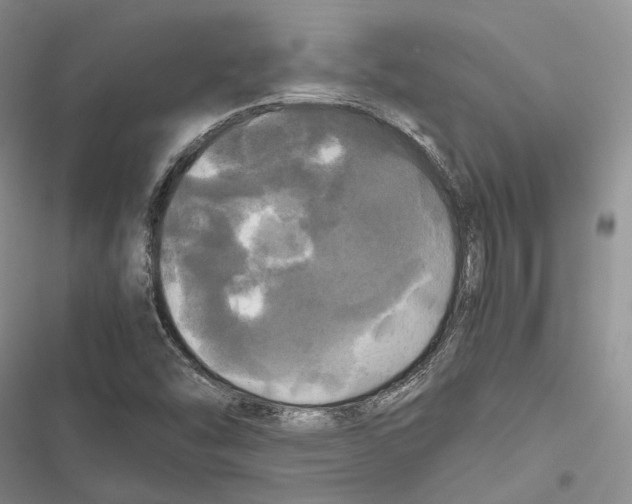 X0000116801454201001151112