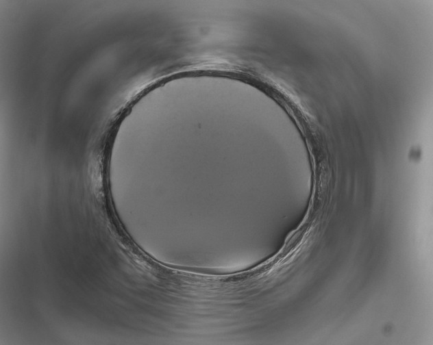 X0000116801455201001151112