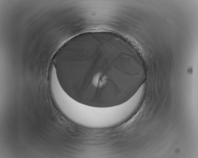 X0000116801457201001151112