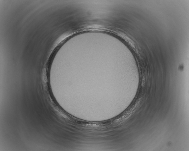 X0000116801458201001151112