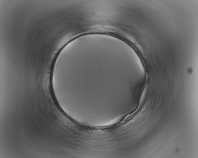 X0000116801459201001151112