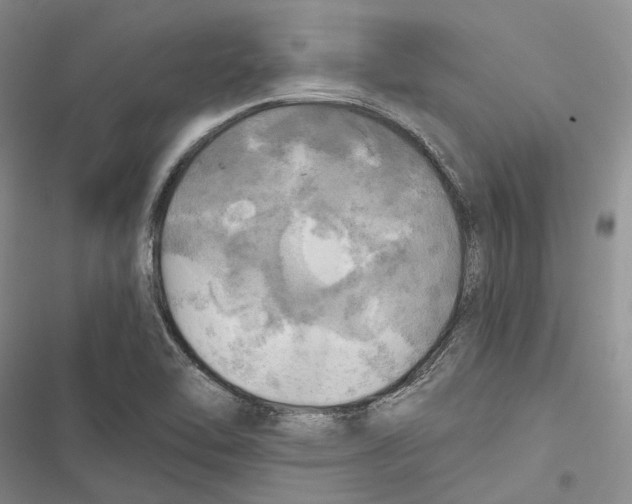 X0000116801462201001151112