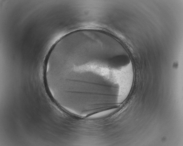 X0000116801463201001151112