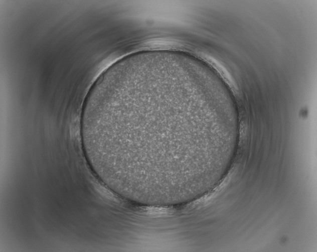 X0000116801465201001151112