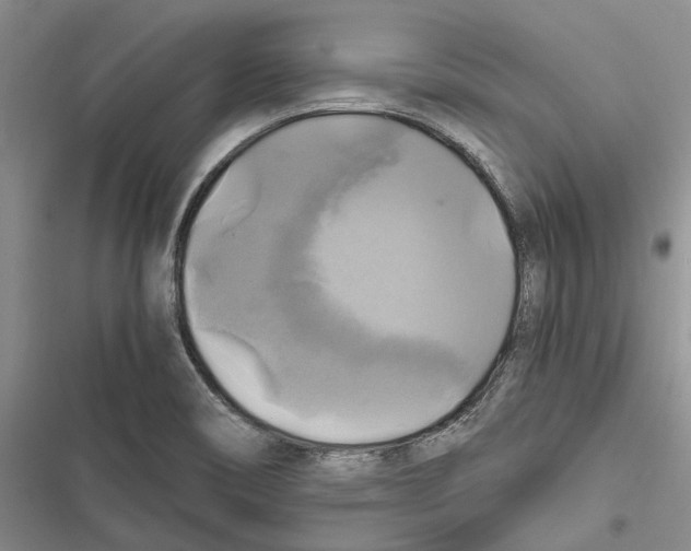 X0000116801466201001151112