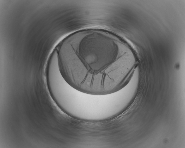 X0000116801468201001151112